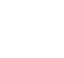 Icon of the megaphone